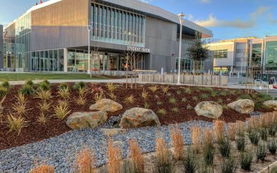 Los Medanos Student Union