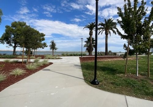 trees and sky picture